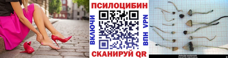 Псилоцибиновые грибы ЛСД Воткинск